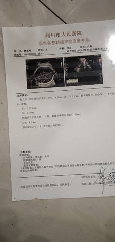 journal_insert_pic_1681762191