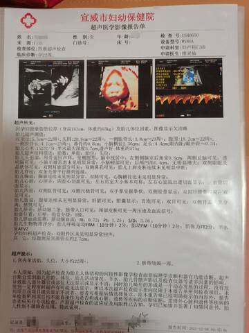 journal_insert_pic_1681150668
