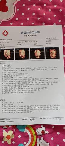 journal_insert_pic_1690429200