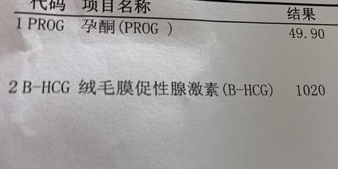 journal_insert_pic_1681058369