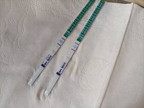 journal_insert_pic_1685259542