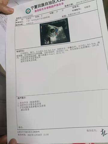 journal_insert_pic_1687973849