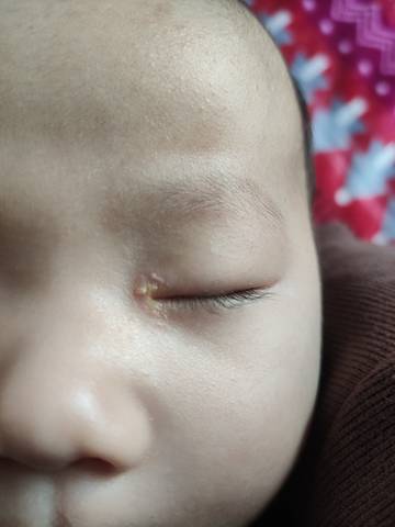 journal_insert_pic_1684606330