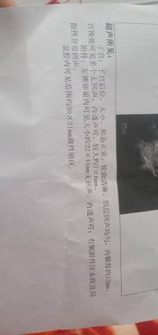 journal_insert_pic_1689107303