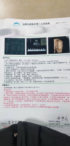 journal_insert_pic_1681617355