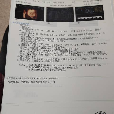 journal_insert_pic_1674816796