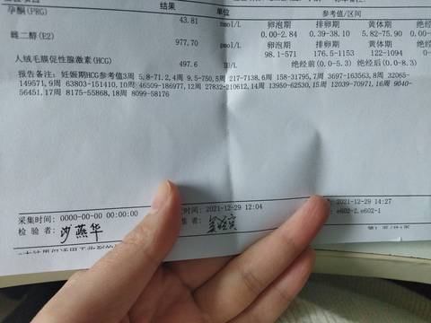 journal_insert_pic_1689377890