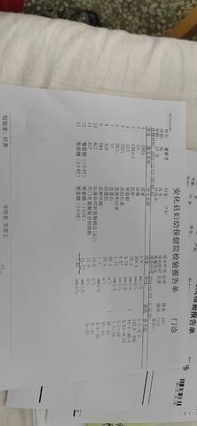 journal_insert_pic_1673382153