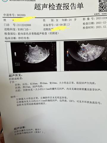 journal_insert_pic_1687177879