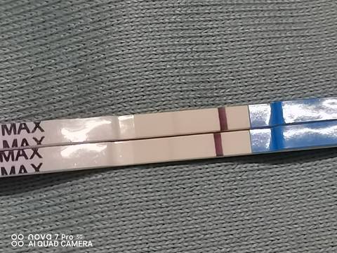 journal_insert_pic_1683095100