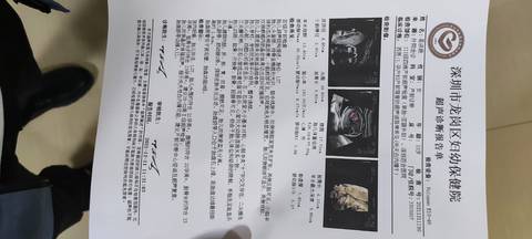 journal_insert_pic_1677930161