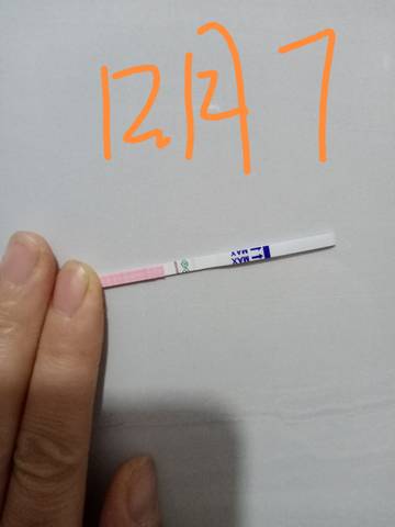 journal_insert_pic_1675884366