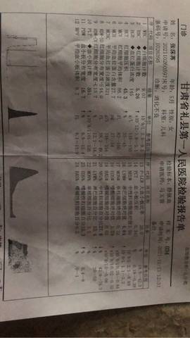 journal_insert_pic_1682057415