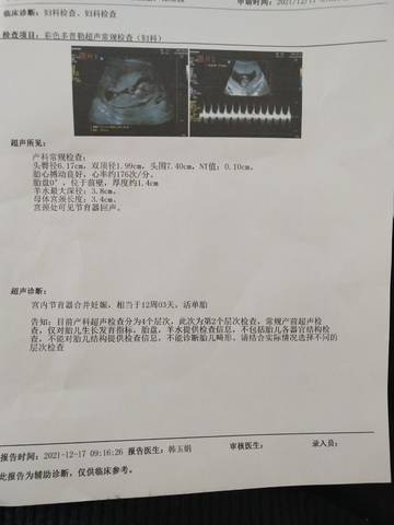 journal_insert_pic_1681369279