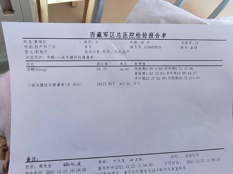 journal_insert_pic_1685504327