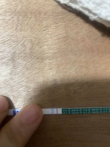 journal_insert_pic_1677964714