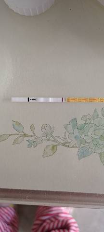 journal_insert_pic_1683590970