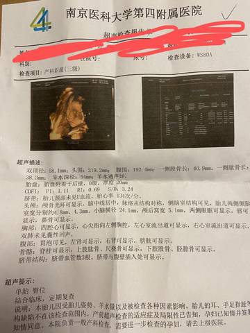 journal_insert_pic_1687791435