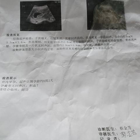 journal_insert_pic_1681082792