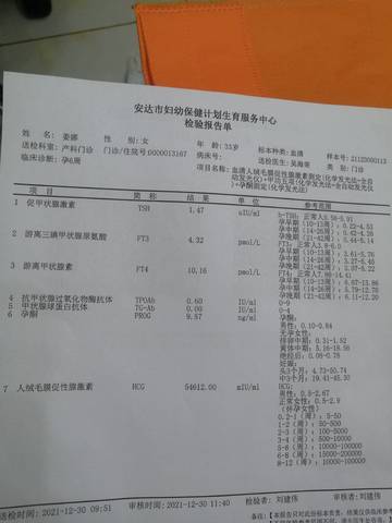 journal_insert_pic_1689011154