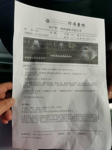 journal_insert_pic_1680134600