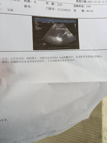 journal_insert_pic_1681159271