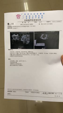 journal_insert_pic_1677177005