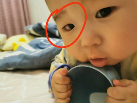 journal_insert_pic_1677036735