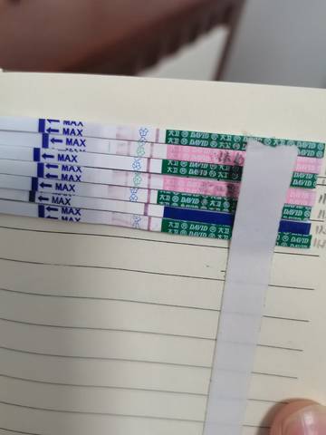 journal_insert_pic_1679407773