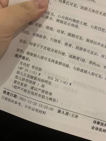 journal_insert_pic_1684276915