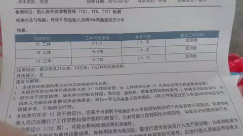 journal_insert_pic_1690193391