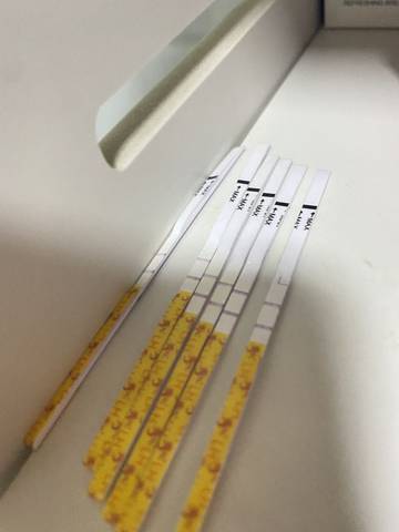 journal_insert_pic_1673950610