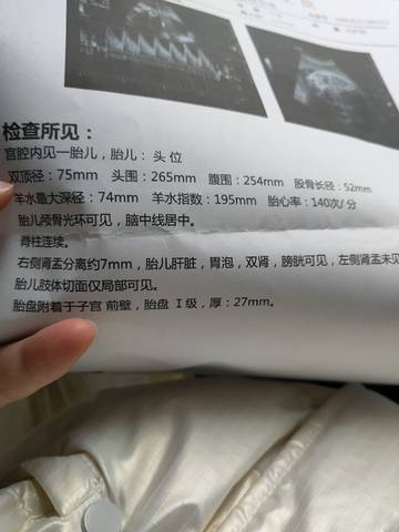 journal_insert_pic_1679553454