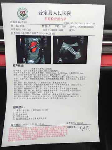 journal_insert_pic_1683025667