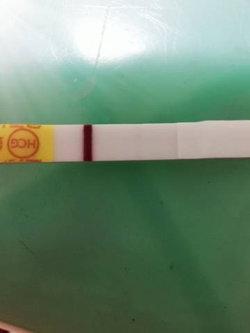 journal_insert_pic_1685378260