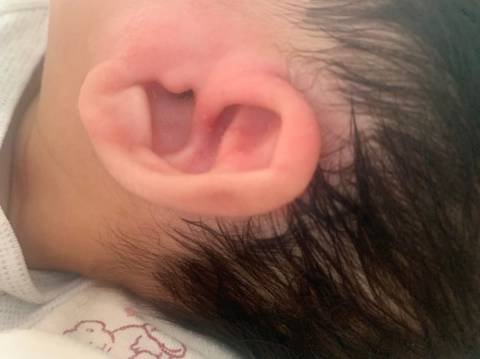 journal_insert_pic_1689562053