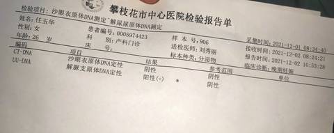 journal_insert_pic_1676302032