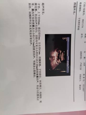 journal_insert_pic_1685119605