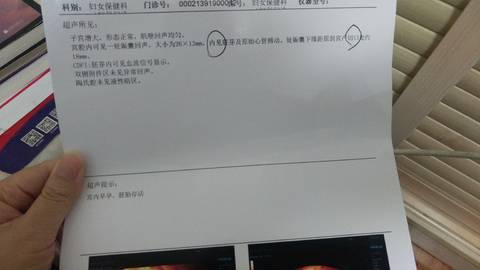 journal_insert_pic_1687265904