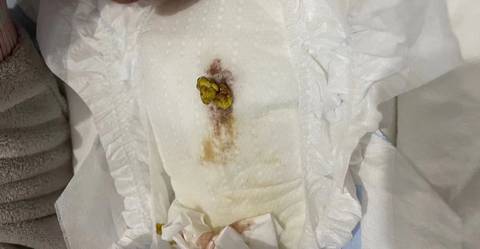 journal_insert_pic_1685513723