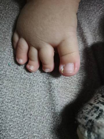 journal_insert_pic_1674424847
