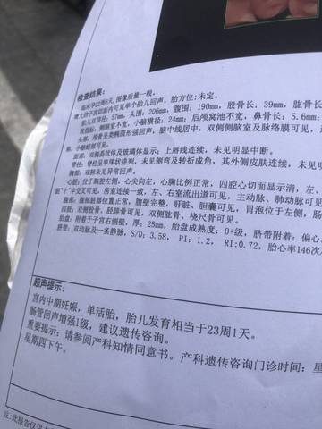 journal_insert_pic_1689282056