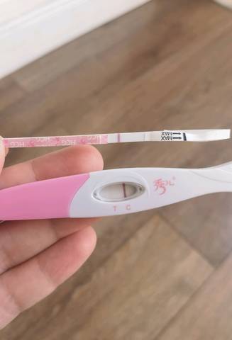 journal_insert_pic_1683202808