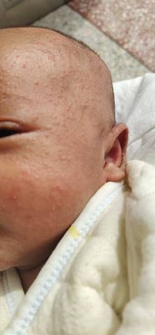 journal_insert_pic_1683546698