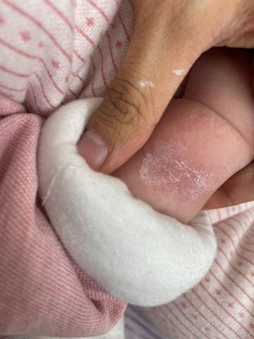 journal_insert_pic_1682060244