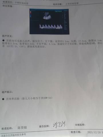 journal_insert_pic_1682968405