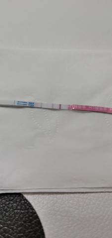 journal_insert_pic_1719453230