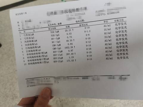 journal_insert_pic_1741051107