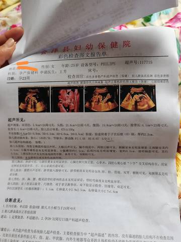 journal_insert_pic_1687589817