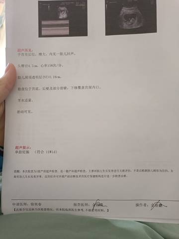 journal_insert_pic_1677370496